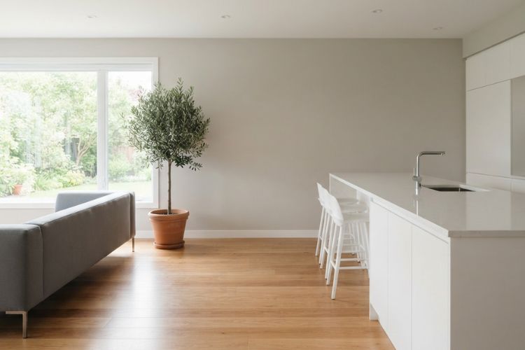 Clear Floors and Countertops